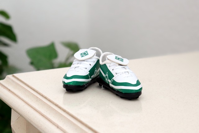 賽的亮點 賽的亮點