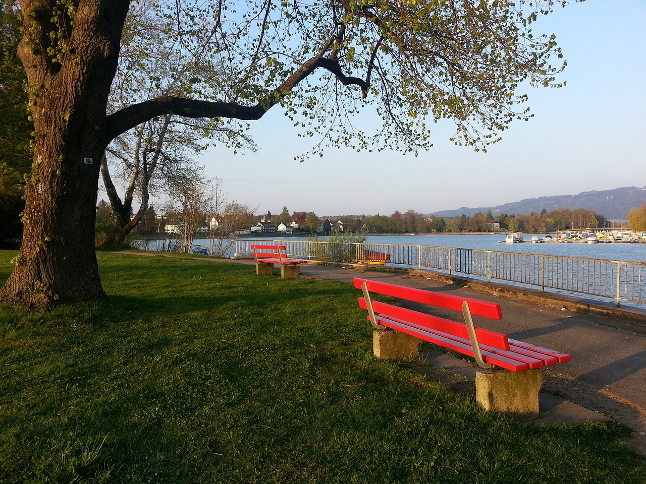 很多著名球 很多著名球