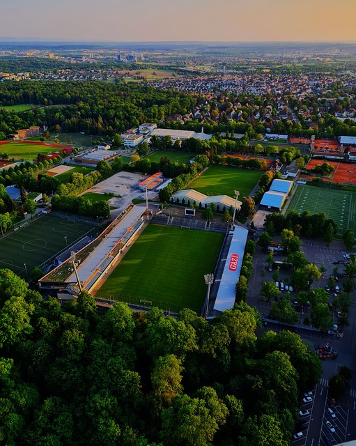 國家聲望 國家聲望