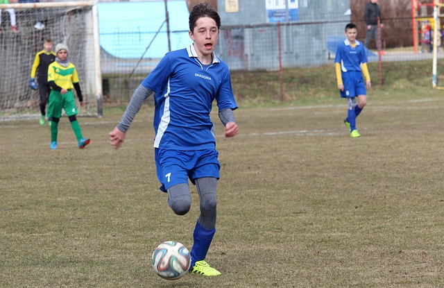 共享冲突利 共享冲突利